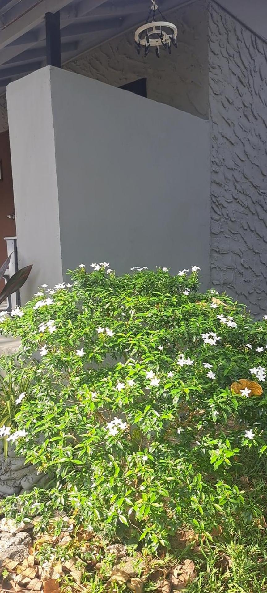Siam Flora Resort Ко-Ланта Экстерьер фото